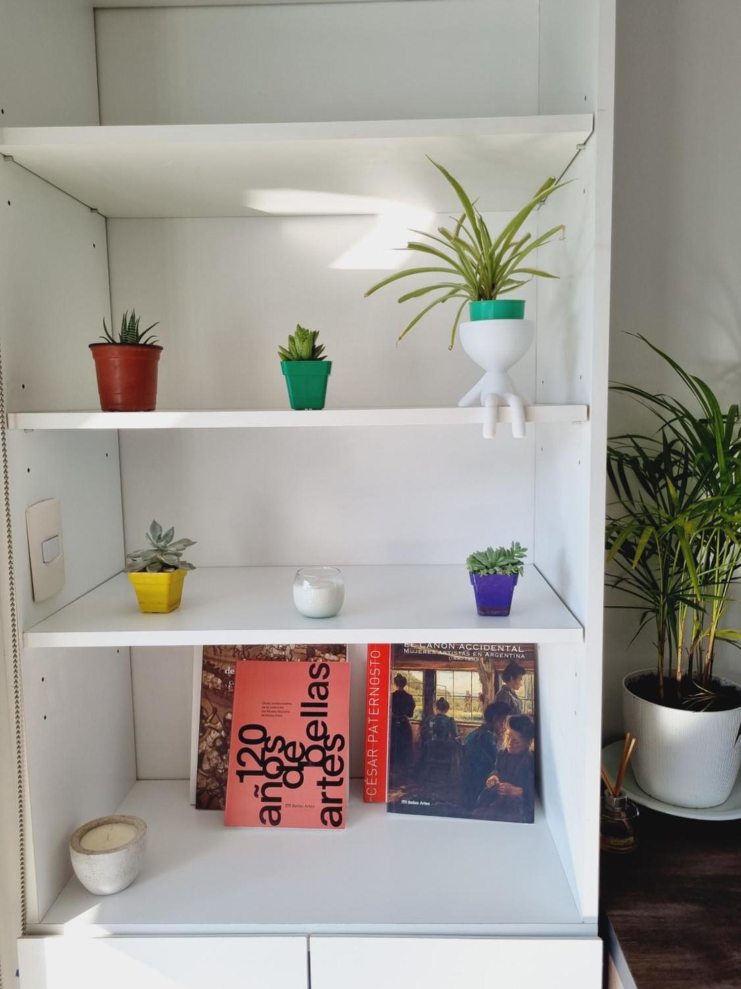Palermo Green Oasis Studio 布宜诺斯艾利斯 外观 照片